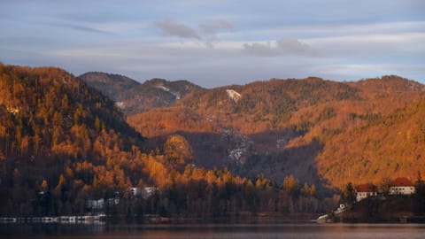 DSCF4479 Cesta svobode, Slovenia | XF16-55mm f3.7 1/240s ISO320