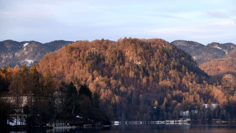 DSCF4481 Cesta svobode, Slovenia | XF16-55mm f3.4 1/180s ISO320