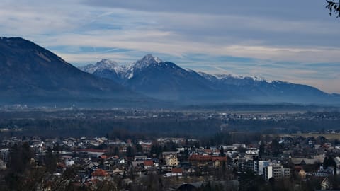 DSCF4533 Grajska Cesta, Slovenia | XF16-55mm f5.0 1/490s ISO160