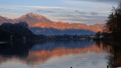 DSCF4562 Cesta svobode, Slovenia | XF16-55mm f3.7 1/220s ISO320