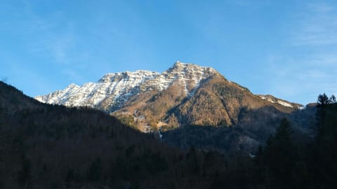 DSCF4724 Road 206, Slovenia | XF16-55mm f4.6 1/220s ISO320