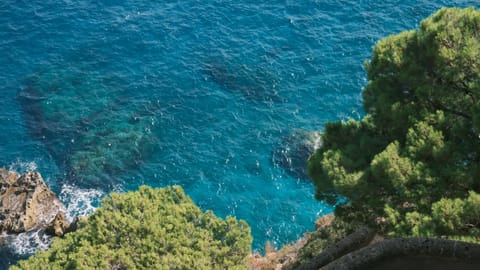 DSCF4107 Via Krupp, Italy | XF16-55mm f8.9 1/110s ISO800