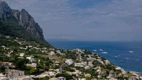 DSCF4193 Salumeria Capri Rosticceria, Via Roma, Capri | XF16-55mm f7.6 1/530s ISO320