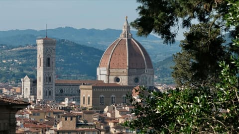 DSCF2809 Boboli Gardens, Giardino delle Camelie, Florence | XF90mm f8.0 1/210s ISO800