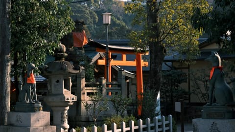 DSCF7207 Fukakusa-Moriyoshicho, Fushimi Ward, Kyoto | XF16-55mm f8.9 1/99s ISO800