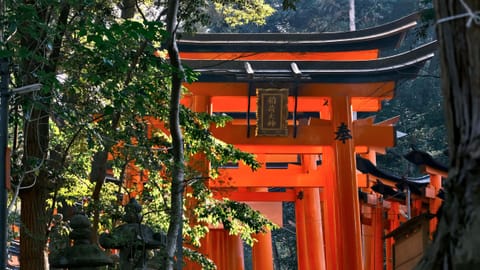 DSCF7276 Fukakusa-Kaidoguchicho, Fushimi Ward, Kyoto | XF90mm f6.0 1/38s ISO800