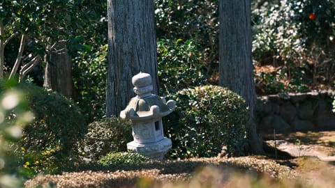 DSCF7379 Honmachi 15, Higashiyama Ward, Kyoto | XF90mm f3.0 1/790s ISO320
