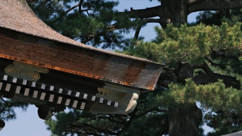 DSCF7426 Kyoto Imperial Palace Park, Higashisakuracho, Kyoto | XF90mm f6.9 1/260s ISO800