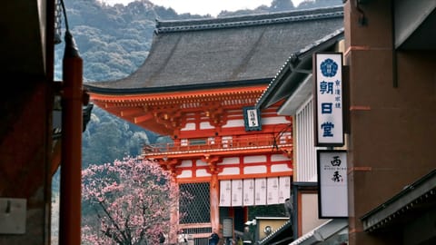 DSCF8006 Kiyomizu 1-chōme, Higashiyama Ward, Kyoto | XF90mm f8.0 1/270s ISO3200