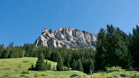 DSCF8277 Oeschistrasse, Switzerland | XF16-55mm f6.9 1/130s ISO320