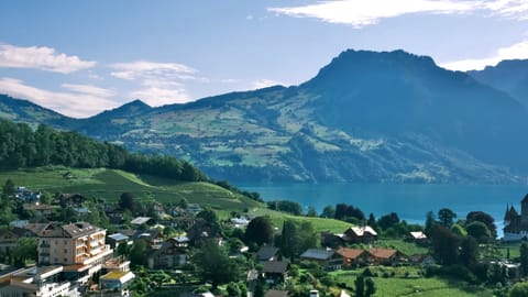 DSCF8664 Bahnhofstrasse, Spiez, Switzerland | XF16-55mm f8.9 1/490s ISO1600