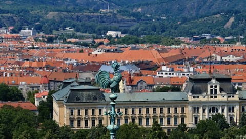 DSCF5420 Valdštejnská, Prague, Czechia | XF90mm f6.0 1/2500s ISO500
