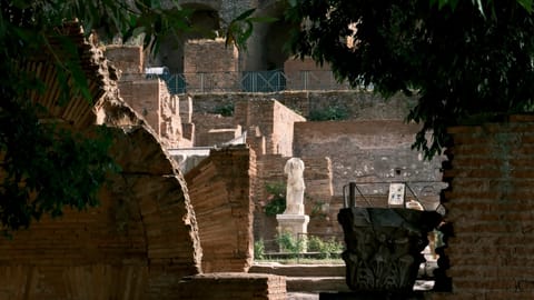 DSCF1007 Roman Forum, Via Bucimazza, Rome | XF16-55mm f8.9 1/170s ISO1250